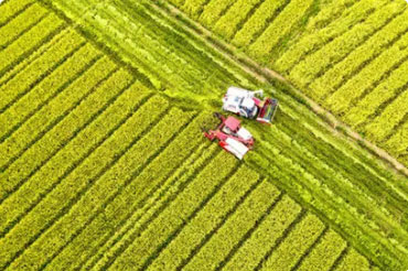 国家发展改革委关于做好2025年春耕及全年化肥保供稳价工作的通知