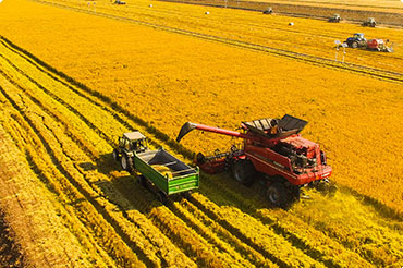 三大粮食作物化肥利用率稳步提升