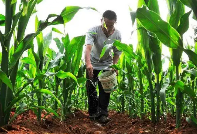 辽宁省绿色农业技术中心多措并举 加快推进肥料备案工作